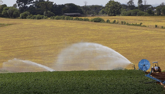 Em seis meses, Banco do Agricultor Paranaense ajudou 1.235 projetos do campo