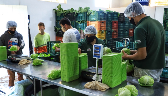 Fundepar abre chamada pública para compras da agricultura familiar