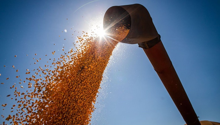 Safra de grãos pode chegar a 291,1 milhões de toneladas 