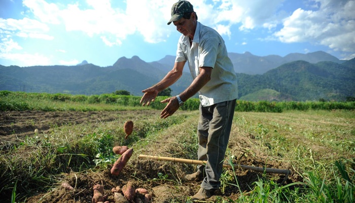 Projetos de agricultura sustentável vão receber US$ 1,2 bi do BID