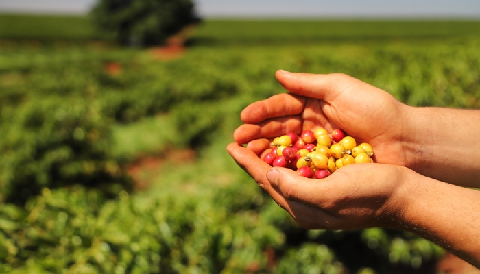 Estado lança Diagnóstico Agropecuário do Paraná, com dados detalhados do setor