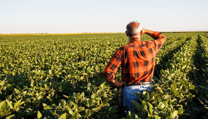 Produtor rural poderá regularizar cadastro ambiental pela internet