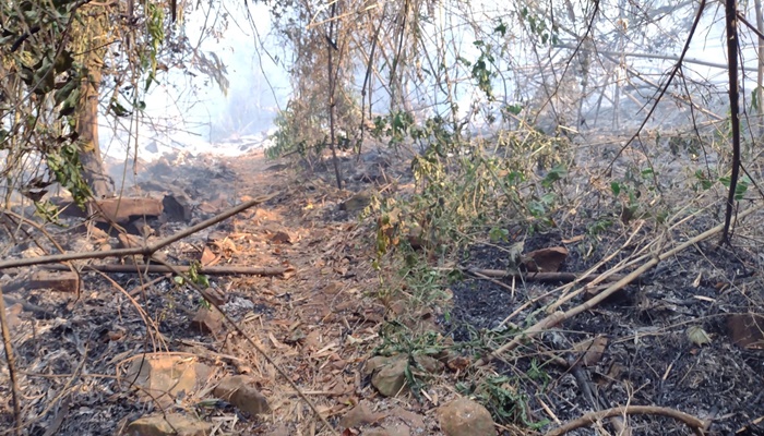 Rio Bonito – Governo municipal fala sobre o incêndio na reserva florestal