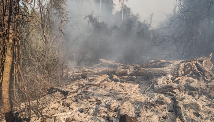 Rio Bonito – Incêndio de grandes proporções atinge área de reserva ambiental 