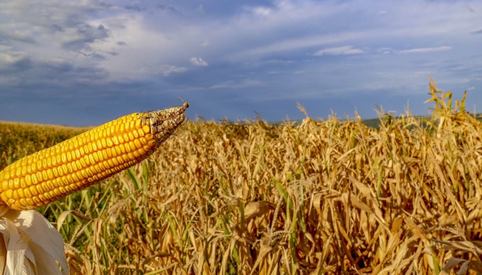 Estado pede ao governo federal mais ações para produtores prejudicados pela crise hídrica