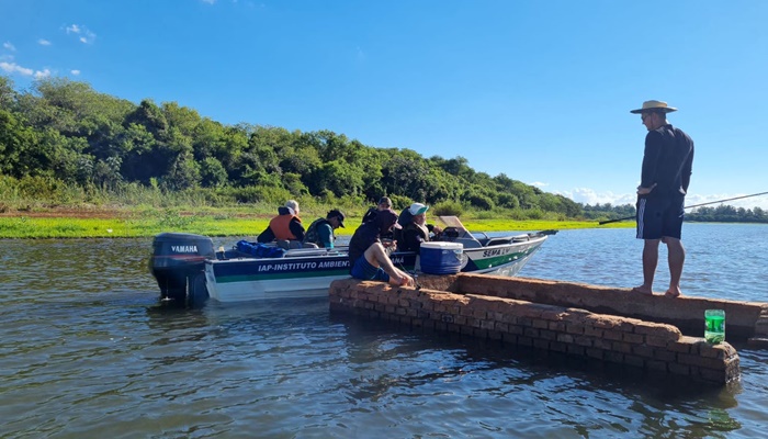 Força-tarefa do IAT combate desmatamento, pesca e caça ilegal no Oeste e Noroeste