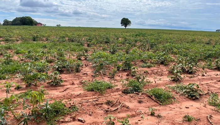 Defesa Civil inicia 2022 com ações distintas em duas frentes: estiagem e alagamentos