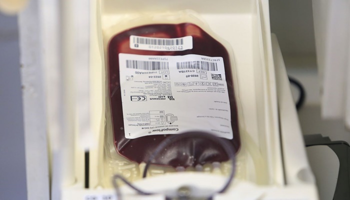 Saúde e Anvisa atualizam regras para doação de sangue durante pandemia