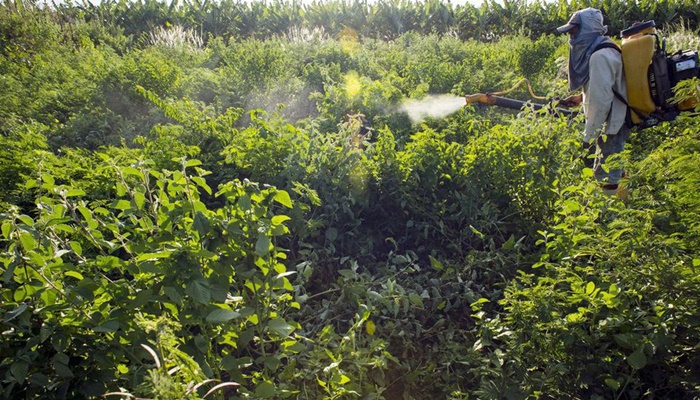 Câmara aprova mudança em prazo para registro de agrotóxicos