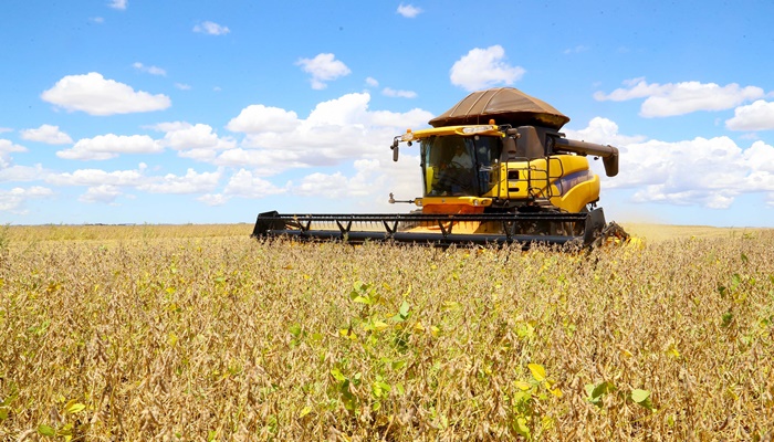 Paraná deve produzir 14,74 milhões de toneladas de grãos na safra de verão 