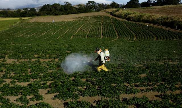 Governo russo pede suspensão das exportações de fertilizantes e preocupa agro brasileiro