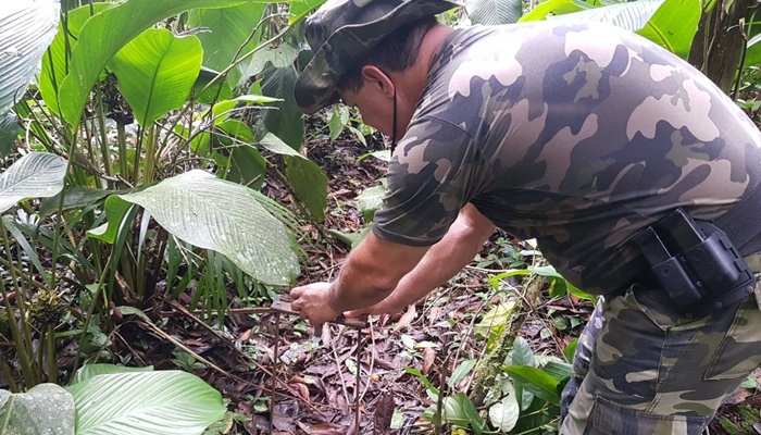 Batalhão de Polícia Ambiental aumenta parcerias e multas crescem R$ 19 milhões em 2 anos 