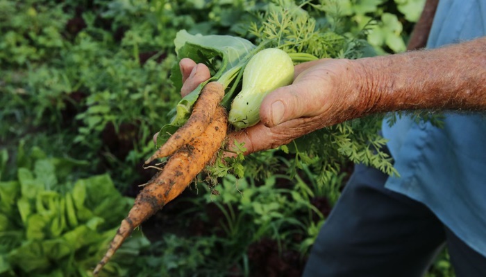 Brasil terá crédito de US$ 1,2 bi para projetos agrícolas 