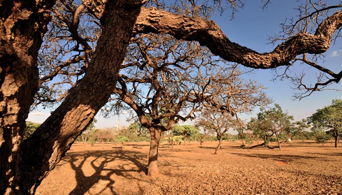 Mudanças no clima agravam abastecimento de água e segurança hídrica