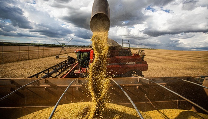 Produção agrícola deve chegar a 269,3 milhões de toneladas, diz Conab