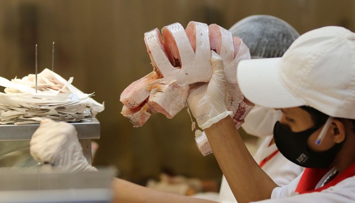 Além de tradição, pescado é opção econômica para a Semana Santa