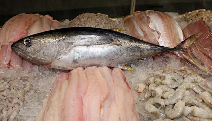 Vigilância Sanitária alerta sobre cuidados na compra de pescados para a Semana Santa 
