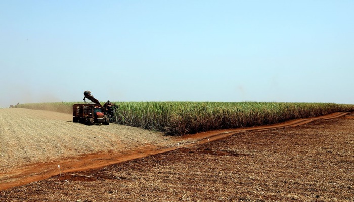 Brasil e Japão assinam acordo para desenvolver agricultura digital