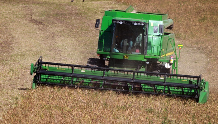 Responsável por um quarto da produção nacional, Paraná avança na colheita de feijão 