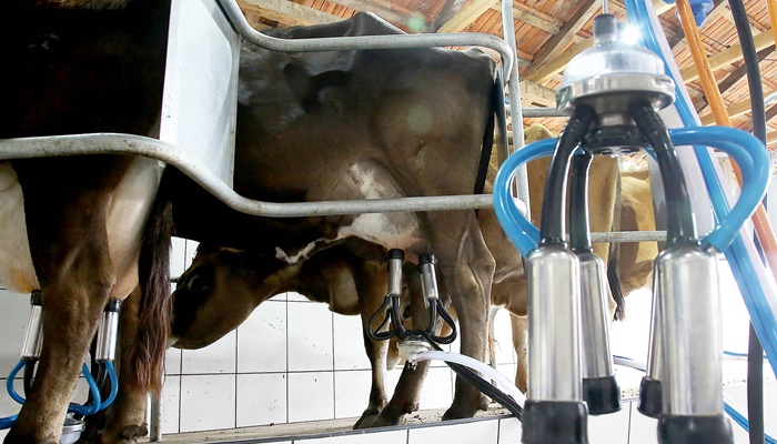  Boletim do Deral analisa reflexos dos custos de produção e do clima no preço do leite
