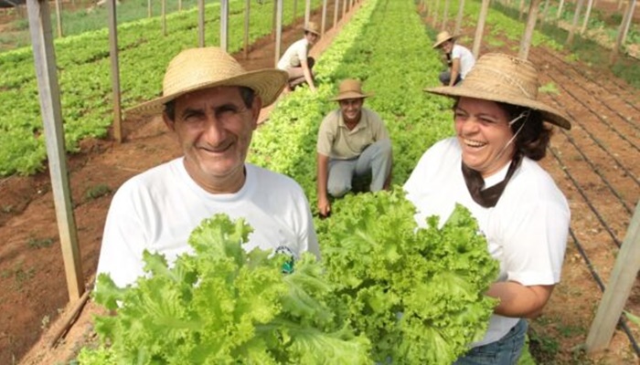 Senado pode aprovar medida que libera R$ 1,2 bi para agricultores familiares 