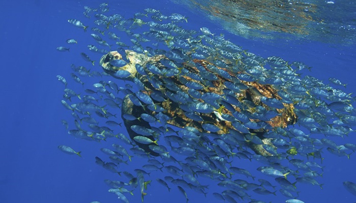 Brasil lançará sistema de monitoramento do Oceano Atlântico