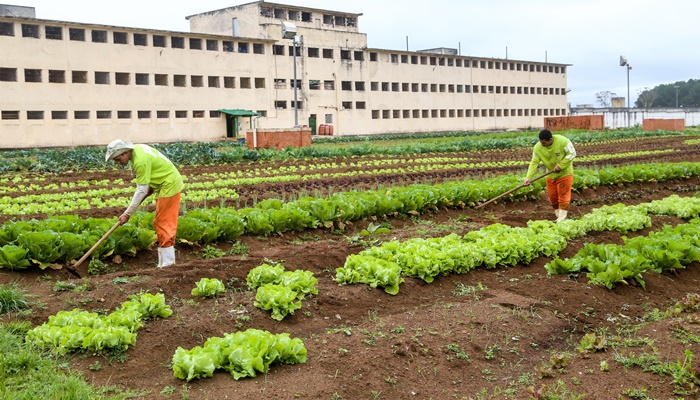  Deppen alerta familiares de presos para golpe em solicitações