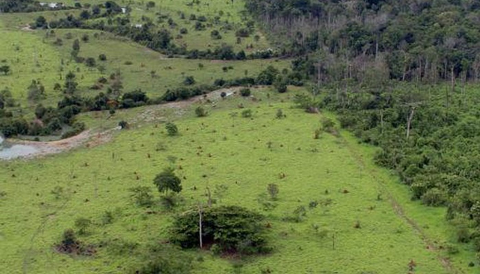 Proprietário rural pode emitir Certificado de Cadastro de Imóvel 