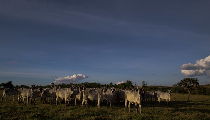 Plano ABC+ entra em vigor em setembro e vai reduzir emissão de carbono