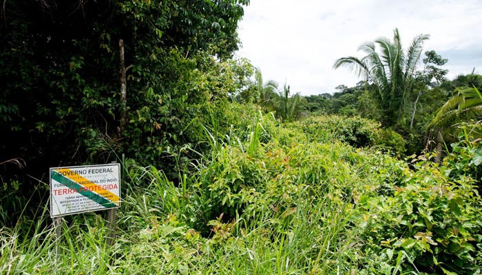 BNDES avalia concessão ambiental com pagamento para conservação