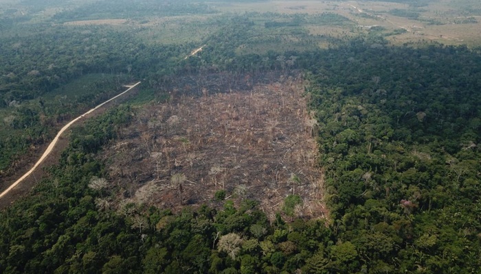 Pastagem com manejo e área agrícola avançam sobre vegetação nativa