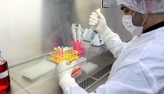  Teste do Tecpar que permite viagens internacionais de animais é reconhecido em 36 países