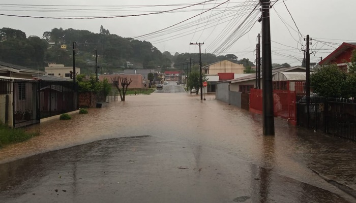  Número de famílias atingidas pelas chuvas no Paraná chega a 5,5 mil, aponta Defesa Civil
