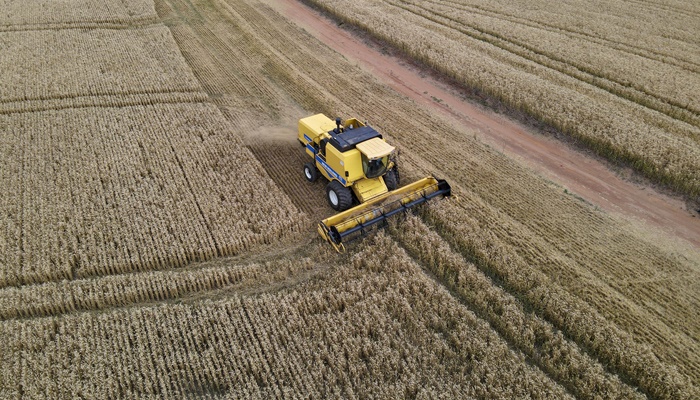 Chuvas dos últimos dias dificultam plantio de soja, milho e feijão, aponta boletim