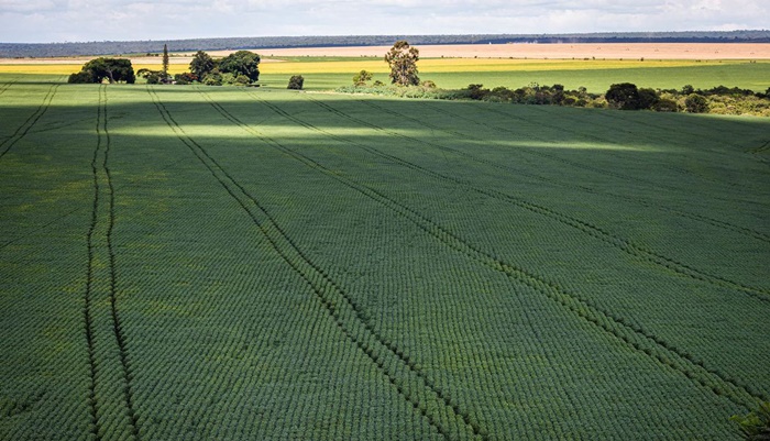 Produtores querem mostrar sustentabilidade da agropecuária na COP-27