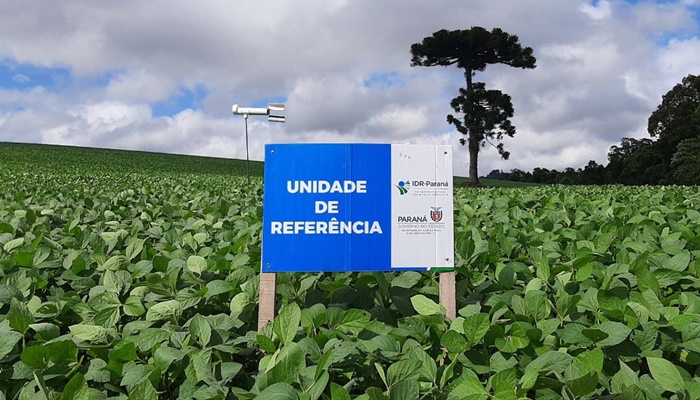  IDR-Paraná inicia os trabalhos da rede Alerta Ferrugem da soja safra 2022/2023