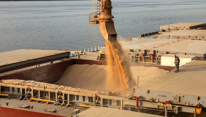 Porto prevê exportar 6,6 milhões de toneladas de grãos e farelo de soja até o final do ano