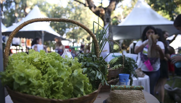 Programa convoca jovens a desenvolver soluções sustentáveis globais