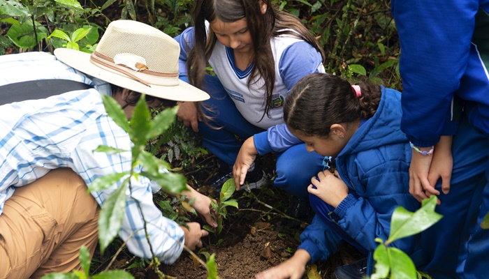 Paraná apresenta, na COP27, iniciativas voltadas à sustentabilidade