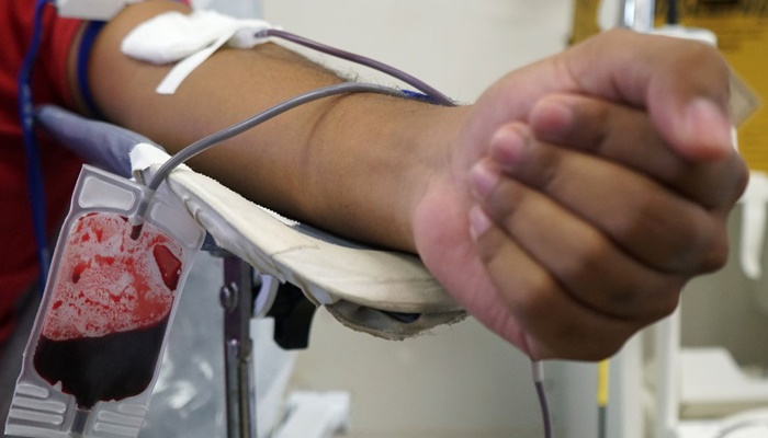 Triagem de sangue em hemocentros terá teste de malária