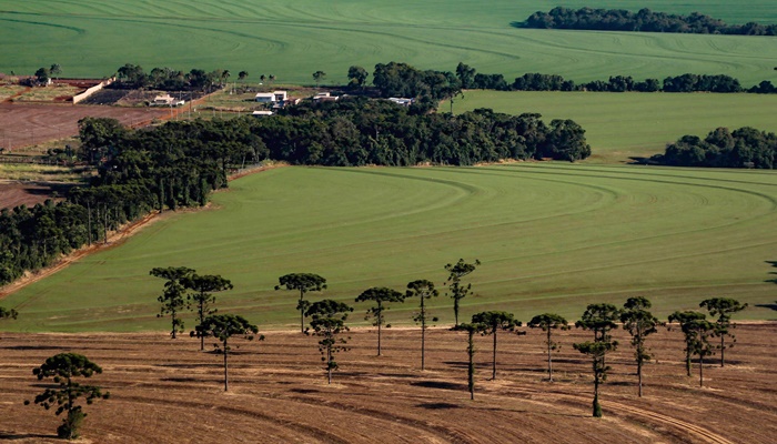 Caderno Regional Agropecuário analisa formação do preço de terras no Paraná