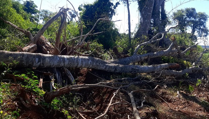 Catanduvas - Batalhão Ambiental localiza desmatamento e aplica multa de R$ 84 mil