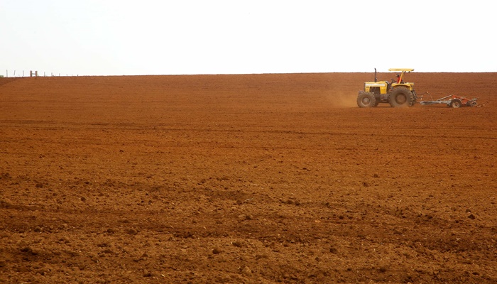  Paraná tem a melhor classificação do Brasil em potencialidade agrícola, segundo estudo do IBGE