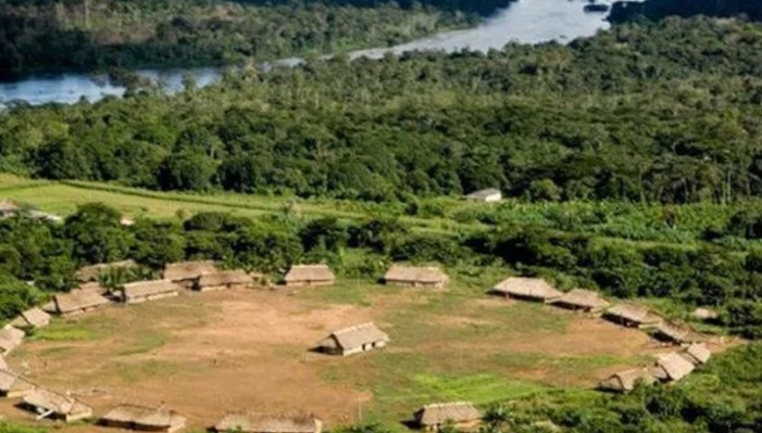 Bolsonaro libera exploração de madeira em terras indígenas