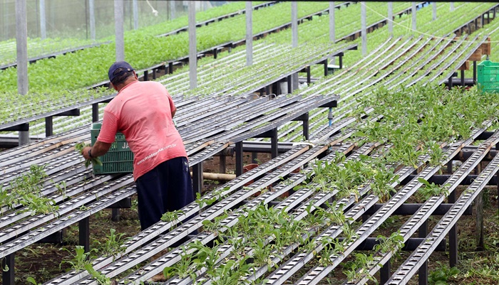 Em 4 anos, programas do Estado liberam mais de R$ 67 milhões para agricultores familiares
