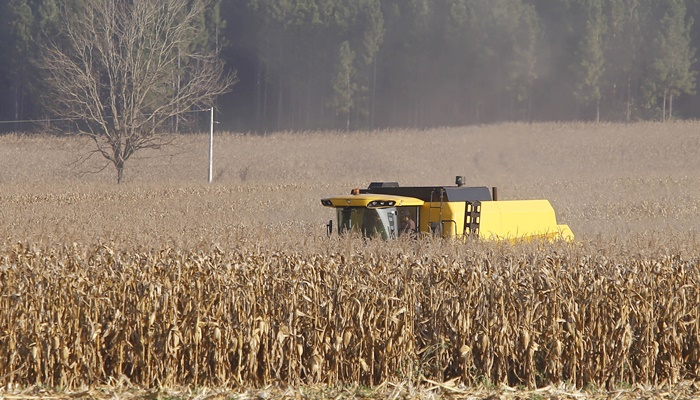  Apesar do clima, agropecuária do Paraná manteve alto rendimento em 2022