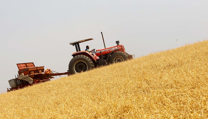  Boletim destaca início do plantio da 2ª safra de milho e aumento de 370% nas exportações do produto