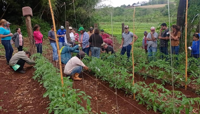  Para incentivar a produção agroecológica, IDR-Paraná investe na capacitação de produtores