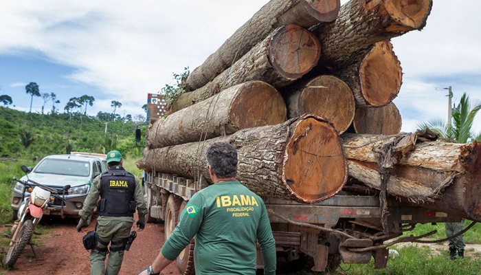 Ibama: Grupo vai fiscalizar fraudes em sistemas de controle florestal