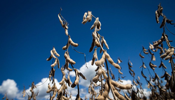 IGP-10 varia 0,02% em fevereiro, informa Fundação Getulio Vargas